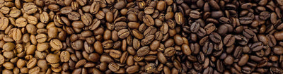 What is the Difference Between Medium Roast and Dark Roast Coffee?