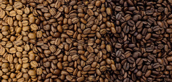 Coffee Roast Levels