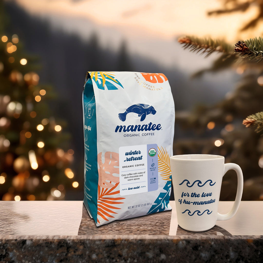 Winter Retreat Organic